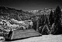 DSC_0065