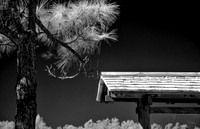 Florida_2013-0235-Edit-4