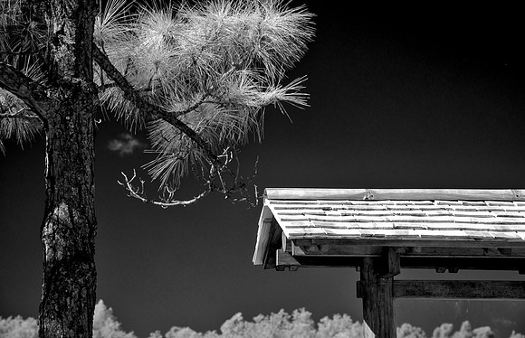 Florida_2013-0235-Edit-4