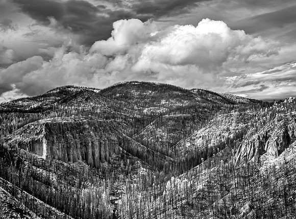 Las_Conchas_Fire_2011-4740-Edit