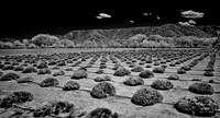 White_Place-Edit-Edit
