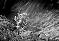 La_Bajada_11_2011-2960-Edit