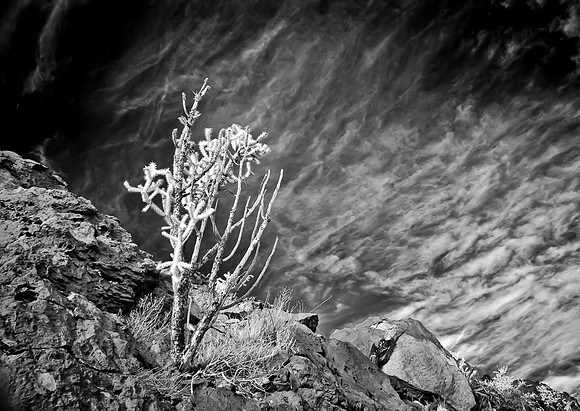 La_Bajada_11_2011-2960-Edit