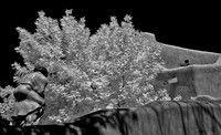 DSC_0022-Edit