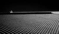 Florida_2013-0217-Edit-3