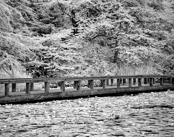 Vancouver_Victoria_2012-4034-Edit