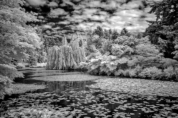 Vancouver_Victoria_2012-4035-Edit
