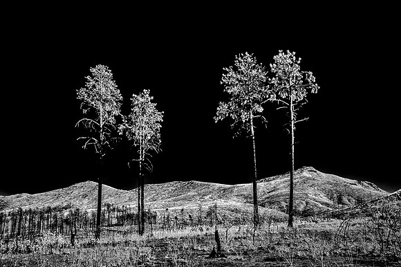Las_Conchas_Fire_2011-6291-Edit-3