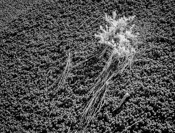 Black_Place-6549-Edit