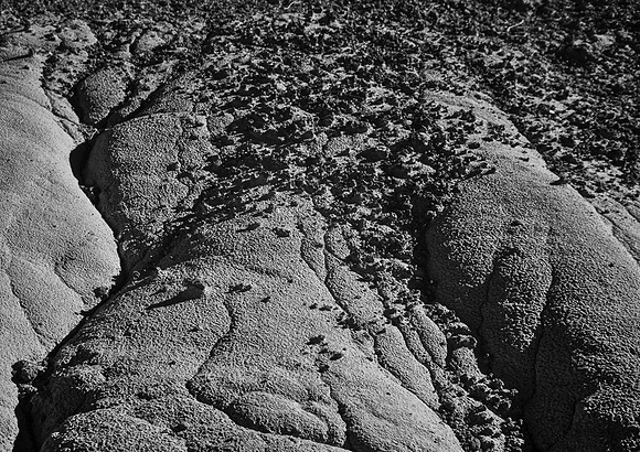 Black_Place-8345-Edit