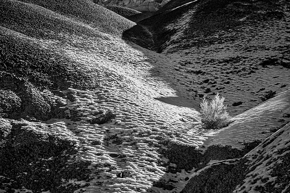 Black_Place-8349-Edit
